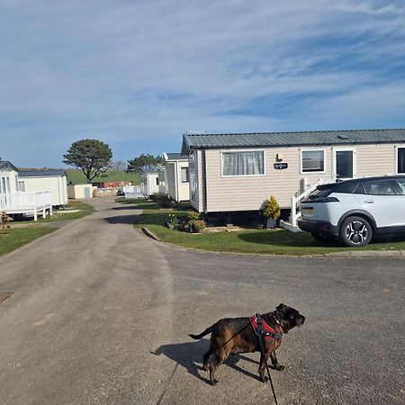 Durdlee Door, D27, Main Rd, West Lulworth, Wareham Bh20 5Pu Hotel Екстериор снимка