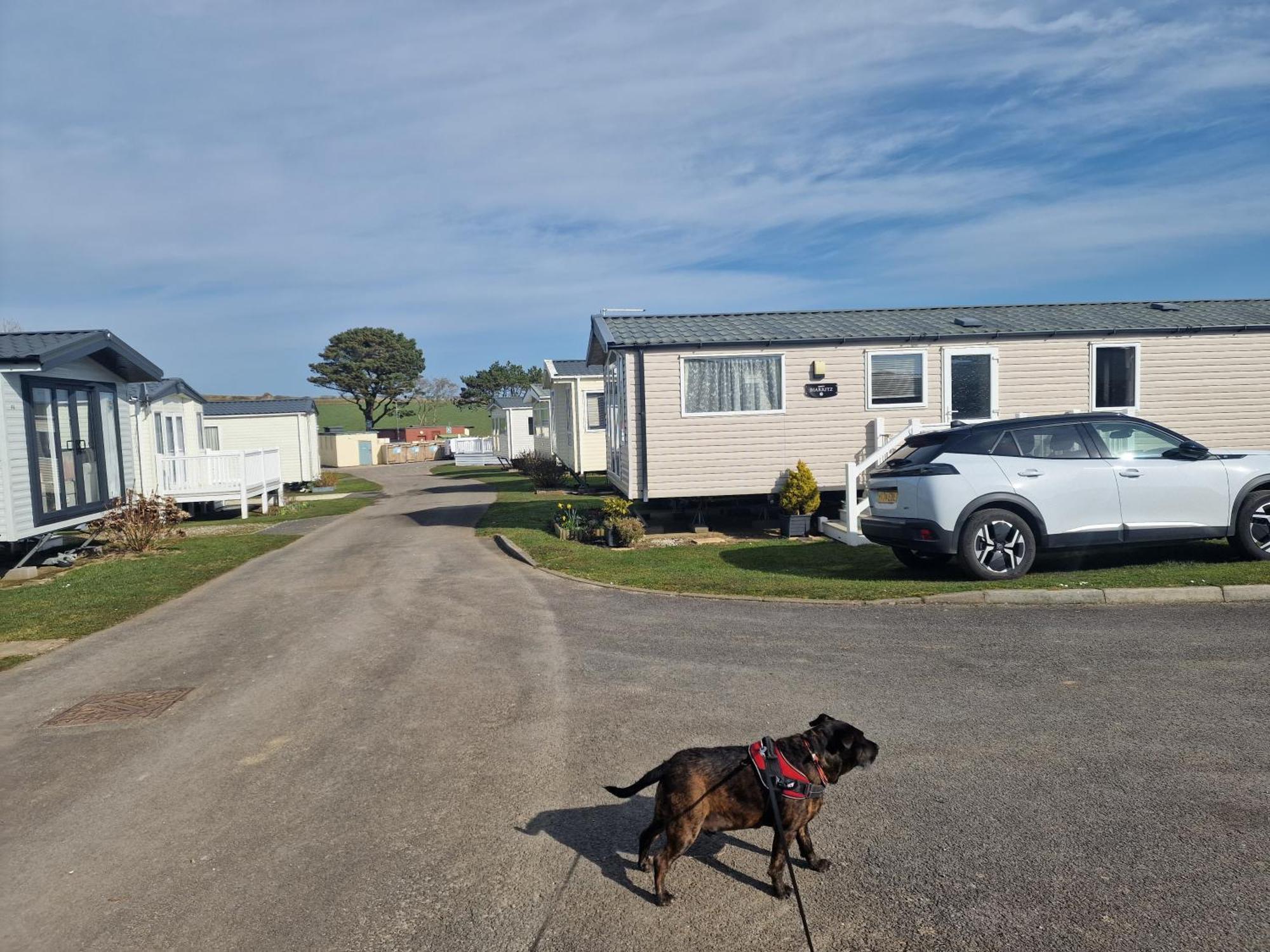 Durdlee Door, D27, Main Rd, West Lulworth, Wareham Bh20 5Pu Hotel Екстериор снимка